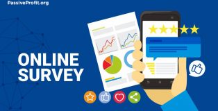 Online Surveys at PassiveProfit.org